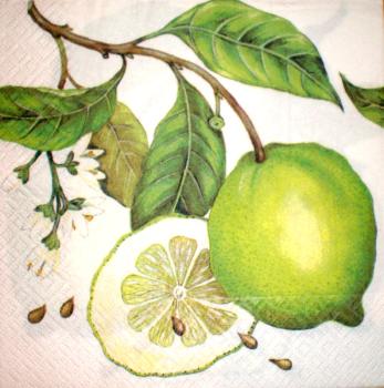 006 Lemons,  Oranges - 3-ply - weiß